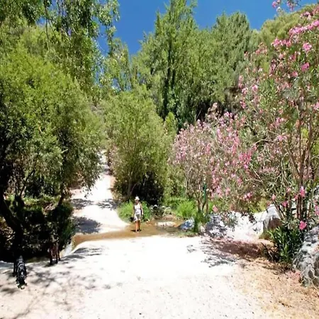 Cortijo Monjas Periana